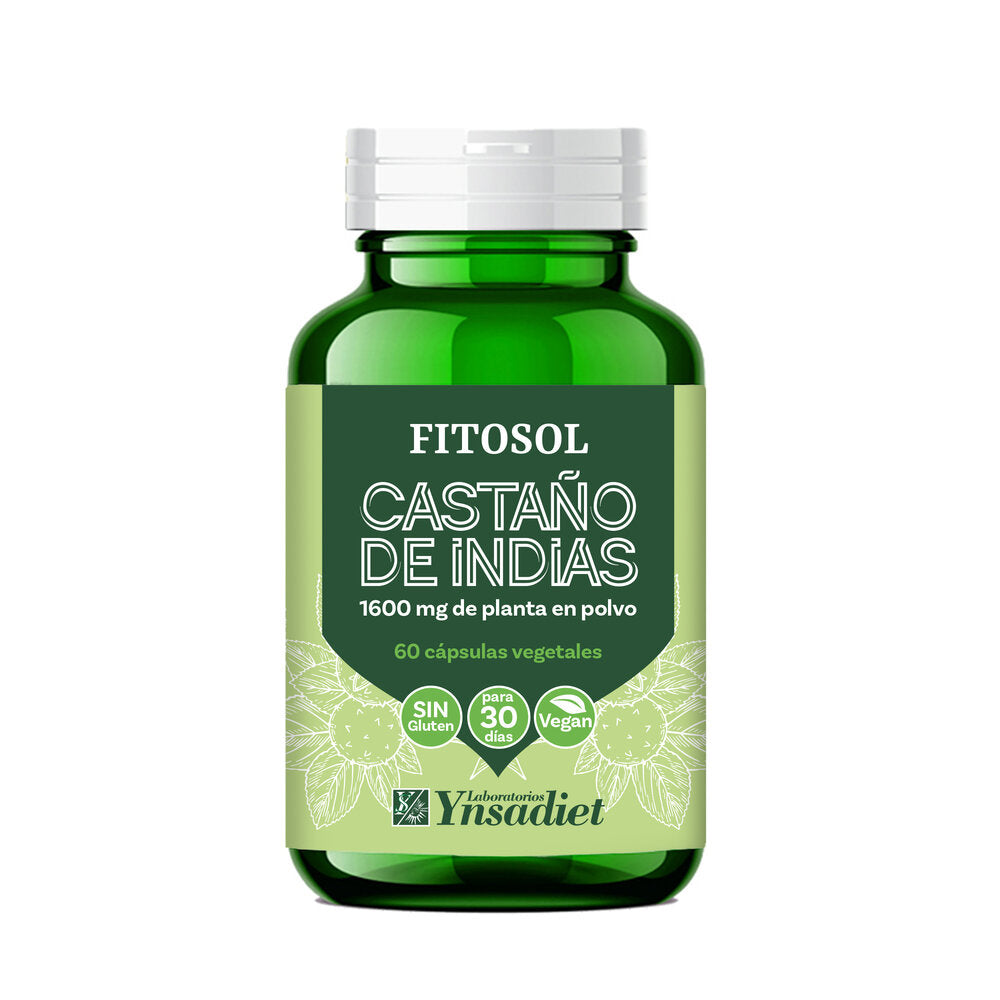 Castaño de indias